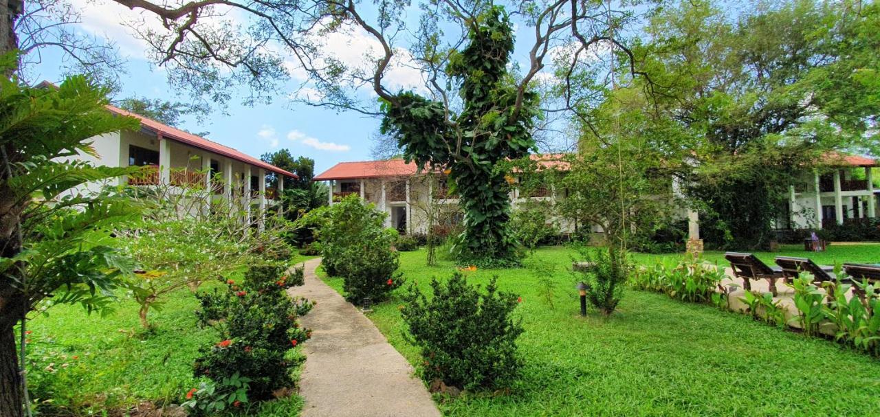 Blue Turtle Hotel Tissamaharama Exterior foto