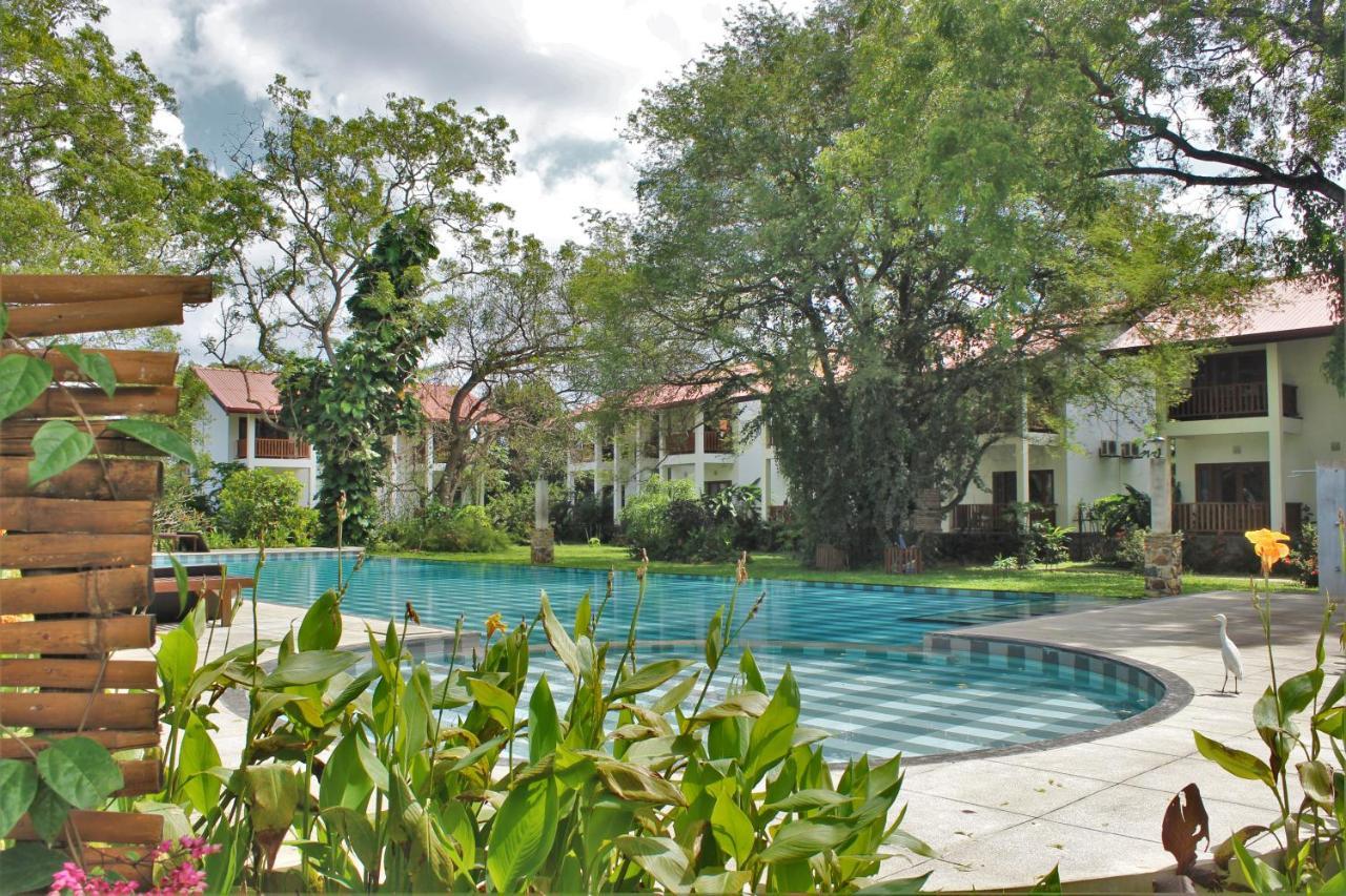 Blue Turtle Hotel Tissamaharama Exterior foto