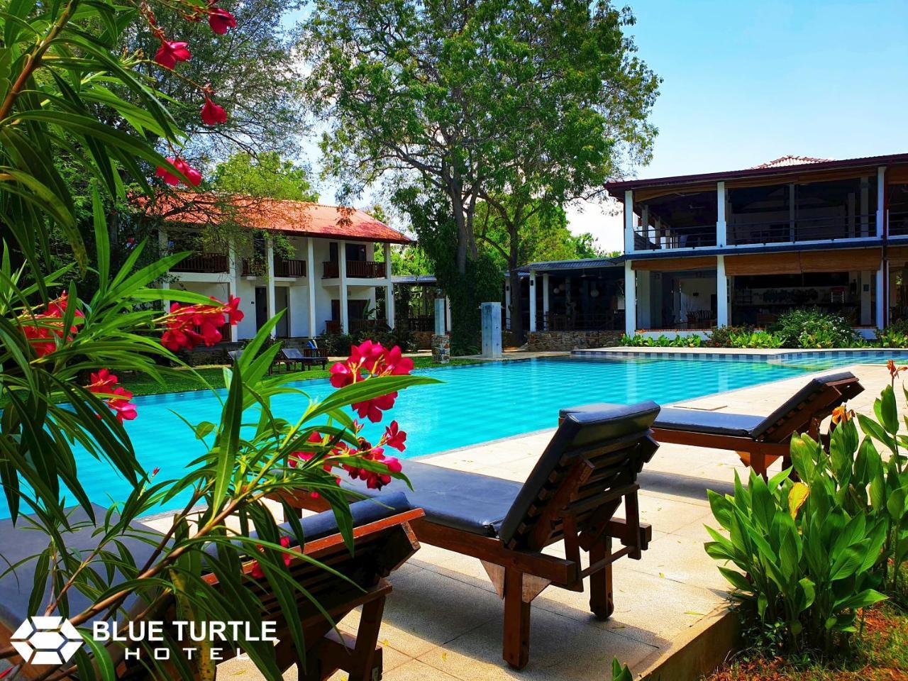 Blue Turtle Hotel Tissamaharama Exterior foto